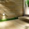 Modern Oak