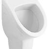Писсуар Villeroy & Boch O'Novo Писсуар Villeroy & Boch O'Novo