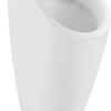 Писсуар Villeroy & Boch Architectura Писсуар Villeroy & Boch Architectura