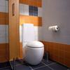 Унитаз напольный Laufen Alessi One Унитаз напольный Laufen Alessi One