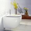 Унитаз подвесной BelBagno Sfera-R, с инсталляцией BelBagno BB-T421 Унитаз подвесной BelBagno Sfera-R, с инсталляцией BelBagno BB-T421