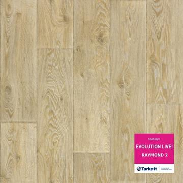 Линолеум Tarkett Evolution Raymond 2 ширина  3,5 м