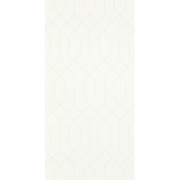 Настенная плитка Paradyz Taiga 59.5х29.5, Ivory dekor