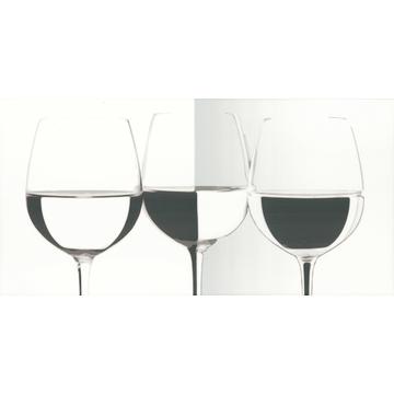 Плитка-декор настенный Paradyz Vivida 60x30, Bianco, Vine