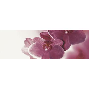 Плитка-декор настенный Paradyz Abrila 60x20, Bianco, Kwiat, B