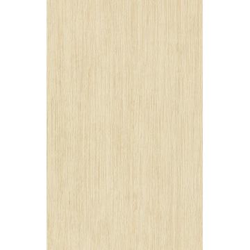 Напольная плитка Roca Baltico 40х25, BG