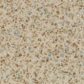 Линолеум Tarkett ACCZENT MINERAL AS 100010 с антистатическим эффектом