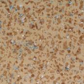 Линолеум Tarkett ACCZENT MINERAL AS 100011 с антистатическим эффектом