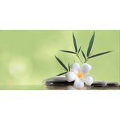 Плитка-декор настенный Belani Ливадия 50x25, салатный