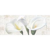 Плитка-декор настенный Belani Даурия 25х50, бежевый