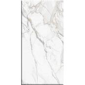 Настенная плитка Beryoza Ceramica BRIERE 60x30, белый