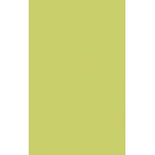 Настенная плитка Paradyz Vivian 40x25, Verde