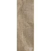 Универсальная плитка Paradyz Trophy 21.5x98.5, Brown