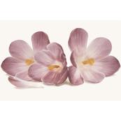 Плитка-декор настенный Cersanit Casablanca 30х45, Inserto flower