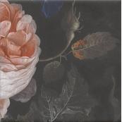 Настенная плитка Kerama Marazzi Парк Роз 20х20