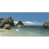 Плитка-декор настенный Tubadzin (Arte) Elida 44.8х22.3, Landscape 2