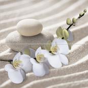 Плитка-панно настенное Alma Ceramica (Уралкерамика) Релакс 49.8х50