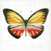 Плитка-декор настенный Керамин Сан-Ремо 20х20, тип 3 белый