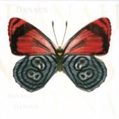 Плитка-декор настенный Керамин Сан-Ремо 20х20, тип 4 белый