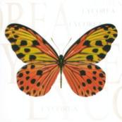 Плитка-декор настенный Керамин Сан-Ремо 20х20, тип 5 белый