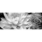 Плитка-декор настенный Керамин Элегия 50х20, 1 тип 2 черный