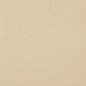 Напольная плитка Paradyz Doblo 59.8х59.8, beige polished