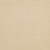 Напольная плитка Paradyz Doblo 59.8х59.8, beige struktura