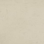 Универсальная плитка Paradyz Taranto 59.8x59.8, Beige, полуполированная