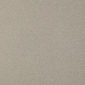 Напольная плитка Paradyz Solid 59.8х59.8, silver mat Напольная плитка Paradyz Solid 59.8х59.8, silver mat