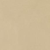 Напольная плитка Italon Imagine 60x60, Beige