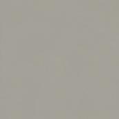 Напольная плитка Italon Imagine 60x60, Grey