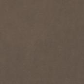 Напольная плитка Italon Imagine 60x60, Brown