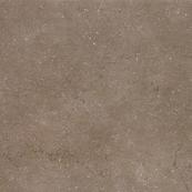 Напольная плитка Kerama Marazzi Дайсен 60х60, коричневый
