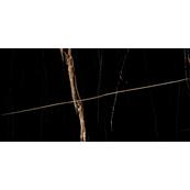 Напольная плитка Laparet Sahara 120х60, black high glossy
