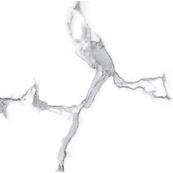 Напольная плитка Laparet Statuario 60х60, crown velvet